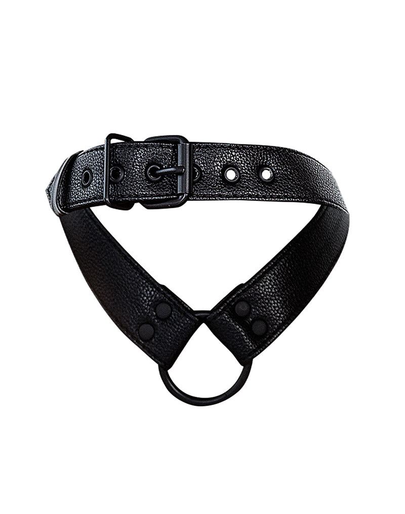 Cut4Men - Wetlook Collar met strap en Cockring - Zwart-Erotiekvoordeel.nl